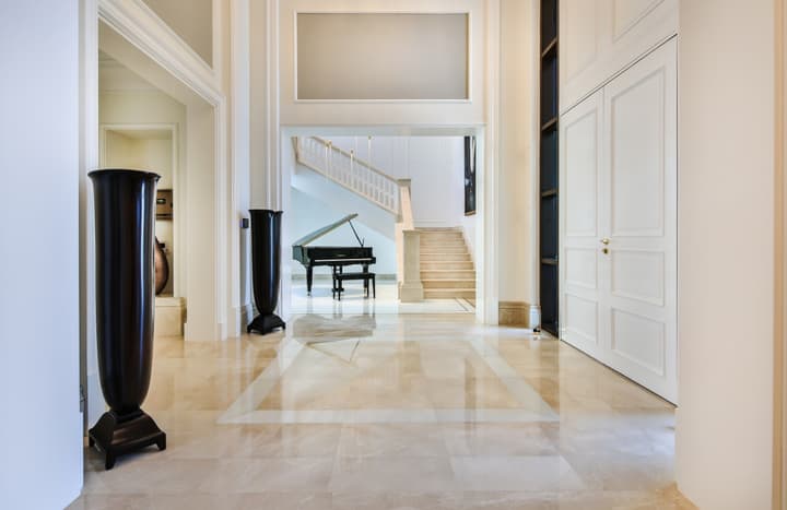 Mediterranean Show Mansion — photograph 12